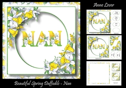 Beautiful Spring Daffodils - Nan