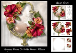 Gorgeous Flowers On Golden Frame - Hibiscus