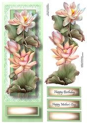 Floral Lge DL - Lotus