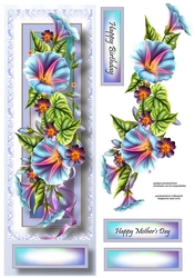 Floral Lge DL - Morning Glory