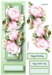 Floral Lge DL - Peony