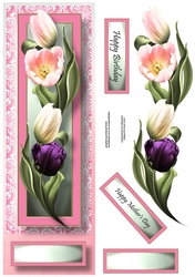 Floral Lge DL - Tulips