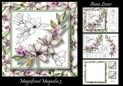Magnificent Magnolia 3