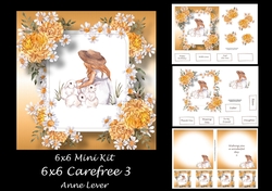 6x6 Carefree 3