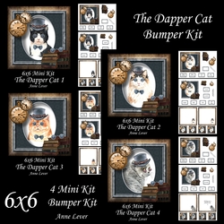 6x6 The Dapper Cat Bumper kit