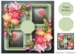 Floral Quad Frame - Blush Iris 8x8