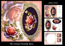 The Framed Twinkle Rose