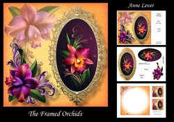 The Framed Orchids