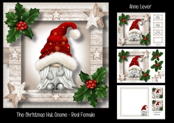 The Christmas Hat Gnome - Red Female