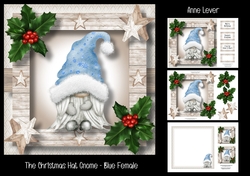 The Christmas Hat Gnome - Blue Female