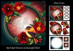 Rich Red Flowers & Beautiful bird