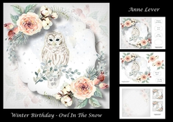Winter Birthday - Owl In The Snow