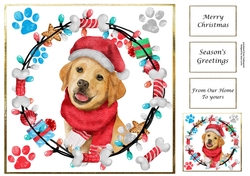 Cute Christmas Dog Golden Retriever