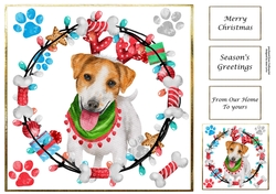 Cute Christmas Dog Jack Russell