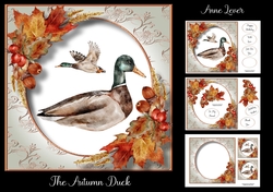 The Autumn Duck