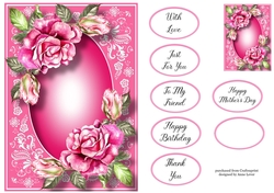 Gorgeous Pink Roses & Beautiful Frame A5