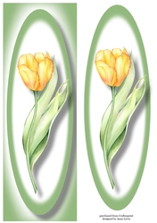 Simple Yellow Tulip Lge DL