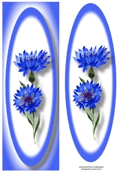 Simple Cornflowers Lge DL