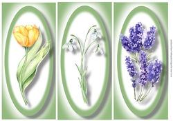 Simple Floral DL Trio Quick Toppers Sheet 1