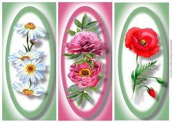 Simple Floral DL Trio Quick Toppers Sheet 5