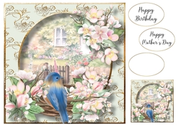 Birds Nest At The Rose Cottage 4 8x8