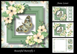 Beautiful Butterfly 1