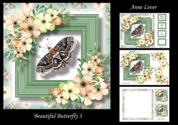 Beautiful Butterfly 3
