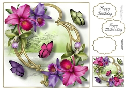 Blooms & Butterflies On Golden Frame - Tropical Orchids 8x8