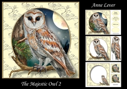 The Majestic Owl 2