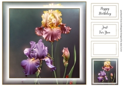 Simple Beautiful Floral 27