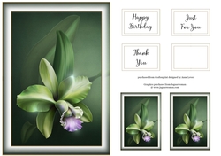 Simple Gorgeous Floral A5 9