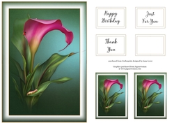 Simple Gorgeous Floral A5 28