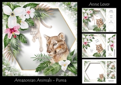 Amazonian Animals - Puma