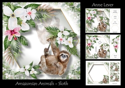 Amazonian Animals - Sloth