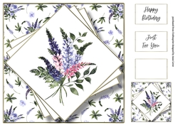 Beautiful English Wildflowers 2