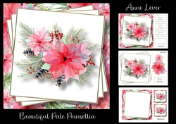 Beautiful Pale Poinsettia