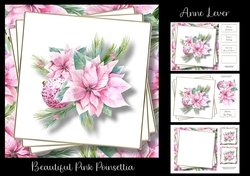 Beautiful Pink Poinsettia