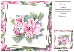 Beautiful Pink Poinsettia 8x8
