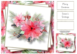 Beautiful Pale Poinsettia 8x8