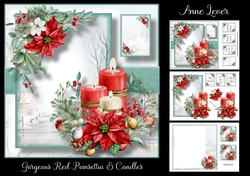 Gorgeous Red Poinsettia And Candles