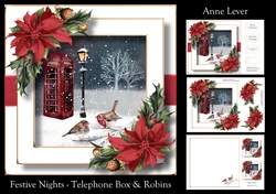 Festive Nights - Telephone Box & Robins
