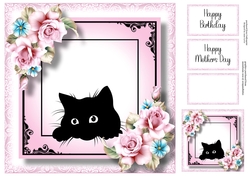 Peeking Cat With Pink Roses 8x8