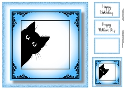 Peeking Cat In Blue - No Flowers