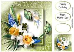 Lovely Lace Back Daffodils & Butterflies 8x8