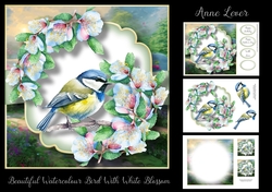 Beautiful Watercolour Bird With White Blossom