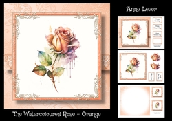 The Watercoloured Rose - Orange