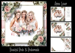 Beautiful Bride & Bridesmaids