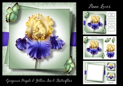 Gorgeous Purple & Yellow Iris & Butterflies