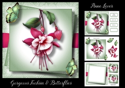 Gorgeous Fuchsia & Butterflies