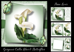 Gorgeous Calla Lilies & Butterflies
